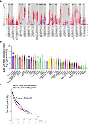 IL22RA1/JAK/STAT Signaling Acts As a Cancer Target Through Pan-Cancer Analysis